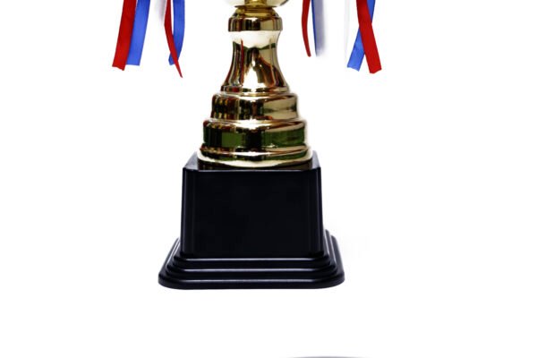TROFEO DORADO IMPORTADO DE FUTBOL MODELO 17