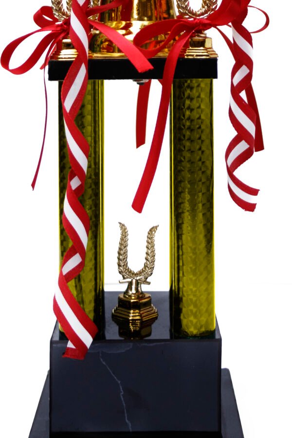 TROFEO NACIONAL DORADO DE FUTBOL DE 50 CM