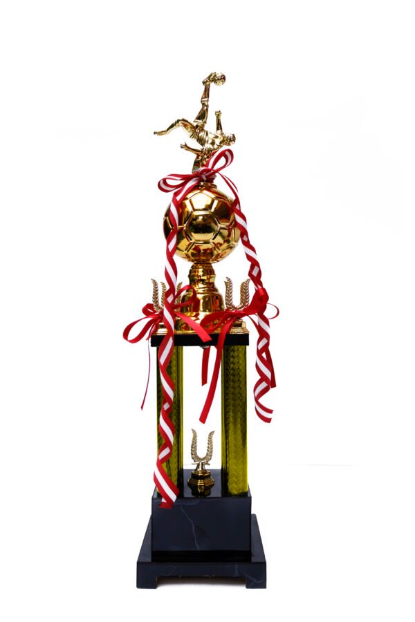 TROFEO NACIONAL DORADO DE FUTBOL DE 50 CM
