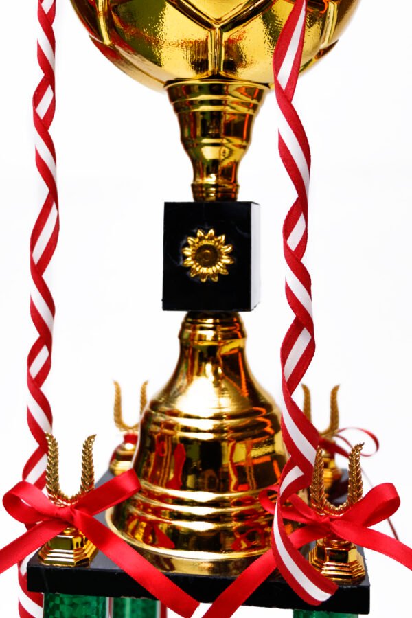 TROFEO NACIONAL DORADO DE FUTBOL DE 1.20 METROS