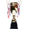 TROFEO DORADO MODELO COPA