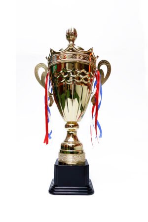 TROFEO DORADO IMPORTADO DE FUTBOL MODELO 16