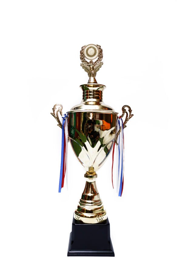 TROFEO DORADO IMPORTADO DE FUTBOL MODELO 14