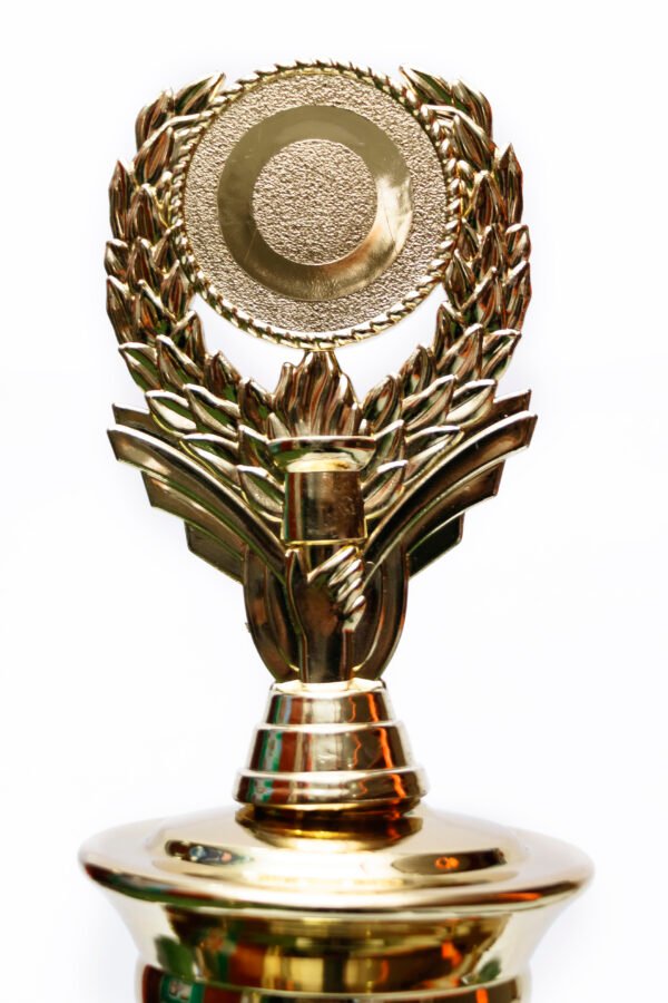 TROFEO DORADO IMPORTADO DE FUTBOL MODELO 14