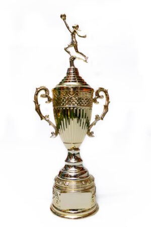 TROFEO DORADO IMPORTADO DE FUTBOL MODELO 7