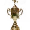 TROFEO DORADO IMPORTADO DE FUTBOL MODELO 35