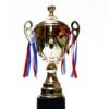 TROFEO DORADO IMPORTADO DE FUTBOL MODELO 17