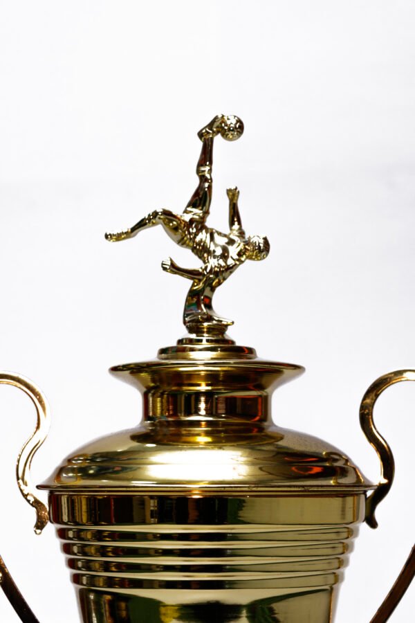 TROFEO DORADO IMPORTADO DE FUTBOL MODELO 9