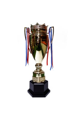 TROFEO DORADO IMPORTADO DE FUTBOL MODELO 25