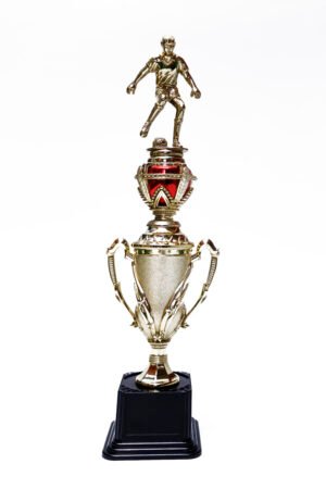 TROFEO IMPORTADO DORADO DE FUTBOL MODELO 13