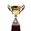 TROFEO DORADO IMPORTADO DE FUTBOL MODELO 52