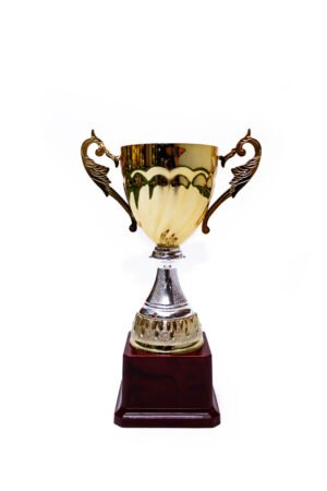 TROFEO DORADO IMPORTADO DE FUTBOL MODELO 52