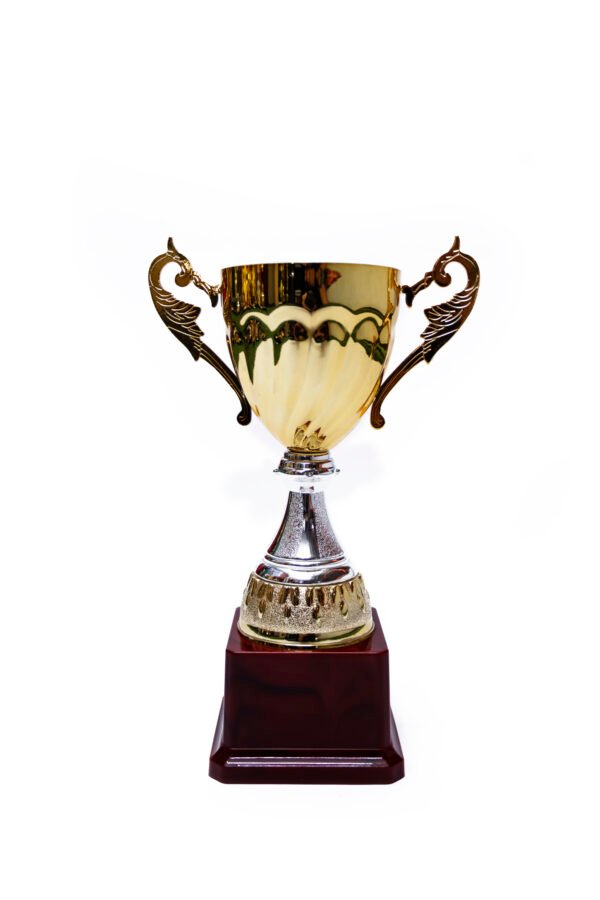 TROFEO DORADO IMPORTADO DE FUTBOL MODELO 52