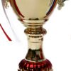 TROFEO DORADO IMPORTADO MEJOR JUGADOR MODELO 45