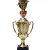 TROFEO DORADO IMPORTADO MEJOR JUGADOR MODELO 47