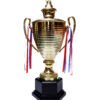 TROFEO DORADO IMPORTADO DE FUTBOL MODELO 12