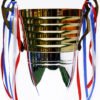TROFEO DORADO IMPORTADO DE FUTBOL MODELO 8