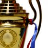 TROFEO DORADO IMPORTADO MEJOR JUGADOR MODELO 72