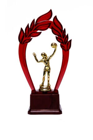 TROFEO DORADO IMPORTADO MEJOR JUGADOR MODELO 37