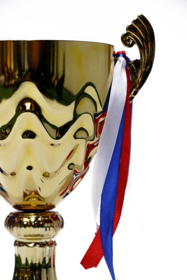 TROFEO DORADO IMPORTADO MEJOR JUGADOR MODELO 53