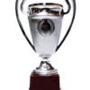 TROFEO DORADO IMPORTADO MEJOR JUGADOR MODELO 71