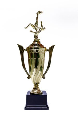 TROFEO PLATEADO IMPORTADO MEJOR JUGADOR MODELO 75
