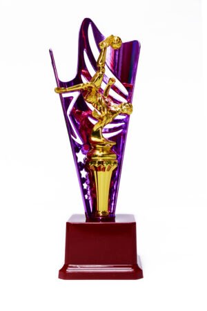 TROFEO DORADO IMPORTADO MEJOR JUGADOR MODELO 40