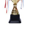 TROFEO DORADO IMPORTADO DE FUTBOL MODELO 18