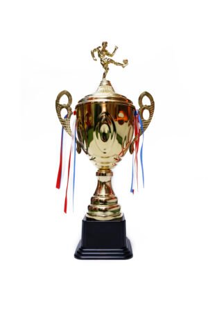 TROFEO DORADO IMPORTADO DE FUTBOL MODELO 18