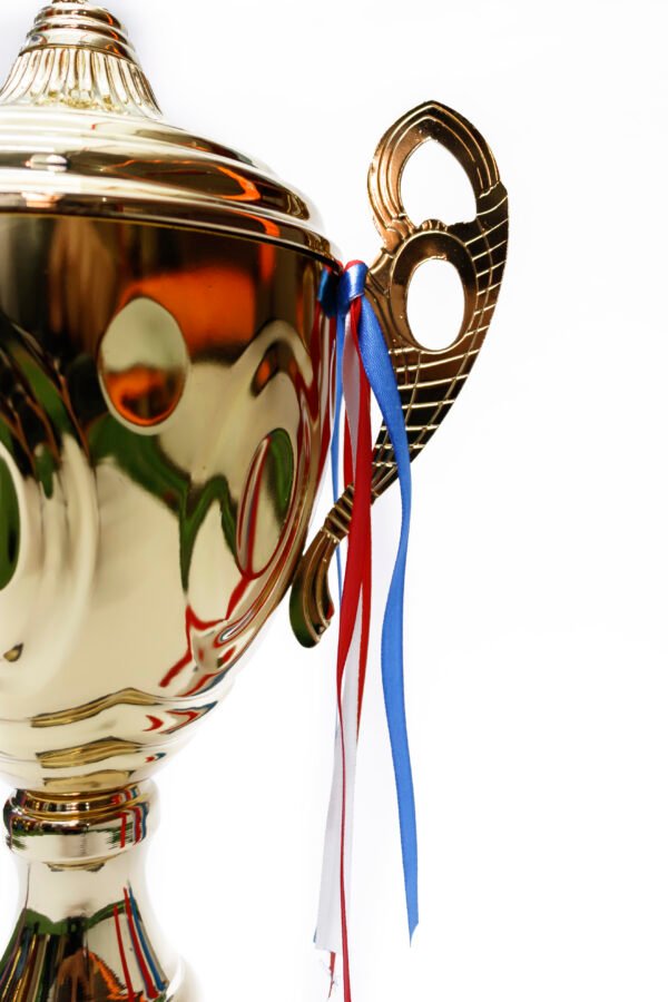TROFEO DORADO IMPORTADO DE FUTBOL MODELO 18