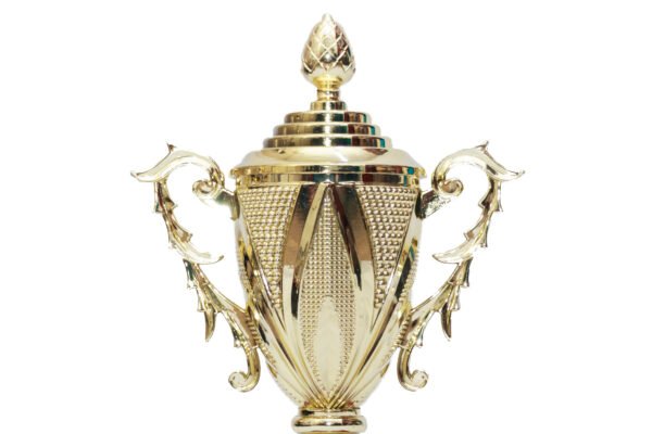 TROFEO DORADO IMPORTADO MEJOR JUGADOR MODELO 51