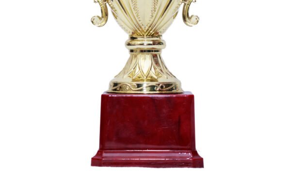 TROFEO DORADO IMPORTADO MEJOR JUGADOR MODELO 51