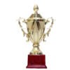 TROFEO DORADO IMPORTADO MEJOR JUGADOR MODELO 51