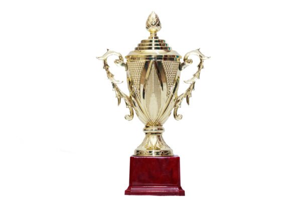 TROFEO DORADO IMPORTADO MEJOR JUGADOR MODELO 51
