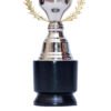 TROFEO NACIONAL MODELO 13