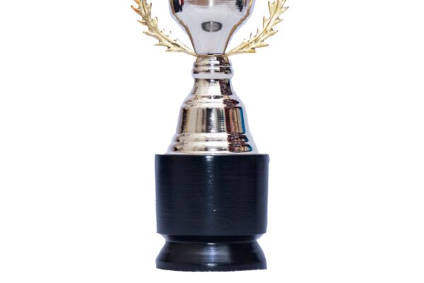 TROFEO NACIONAL MODELO 13