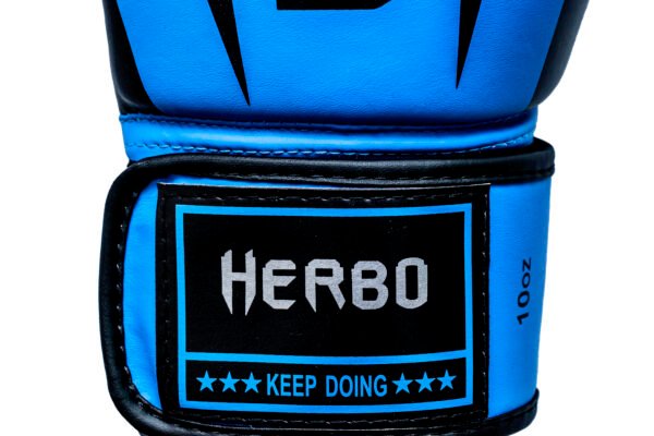 GUANTES DE BOXEO HERBO MODELO 2