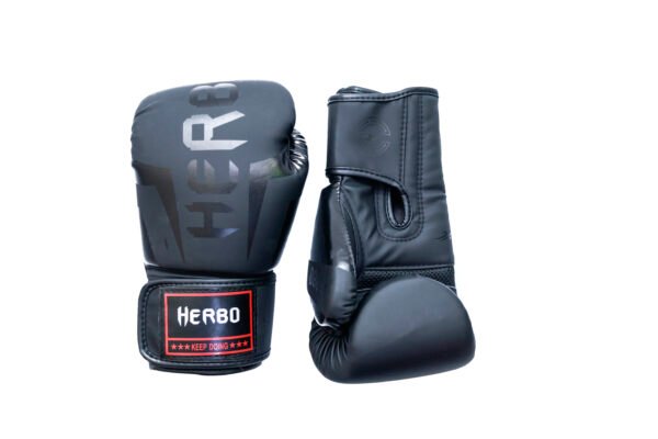 GUANTES DE BOXEO HERBO MODELO 1