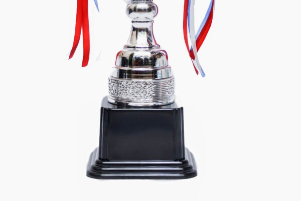 TROFEO PLATEADO IMPORTADO DE FUTBOL MODELO 29