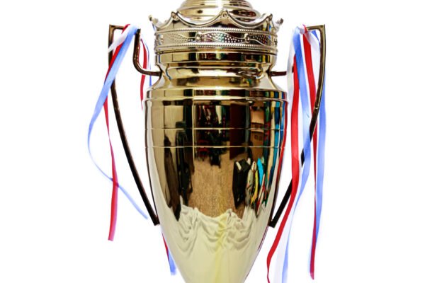 TROFEO DORADO IMPORTADO DE FUTBOL MODELO 24