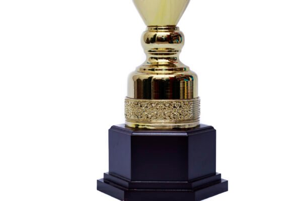 TROFEO DORADO IMPORTADO DE FUTBOL MODELO 24