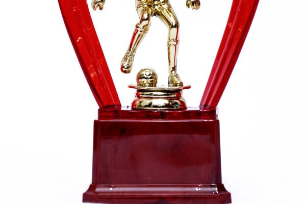 TROFEO DORADO IMPORTADO MEJOR JUGADOR MODELO 58