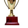 TROFEO DORADO IMPORTADO MEJOR JUGADOR MODELO 92