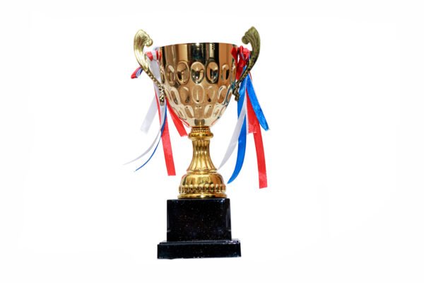 TROFEO DORADO IMPORTADO MEJOR JUGADOR MODELO 51