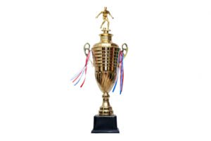 TROFEO DORADO IMPORTADO DE FUTBOL MODELO 5
