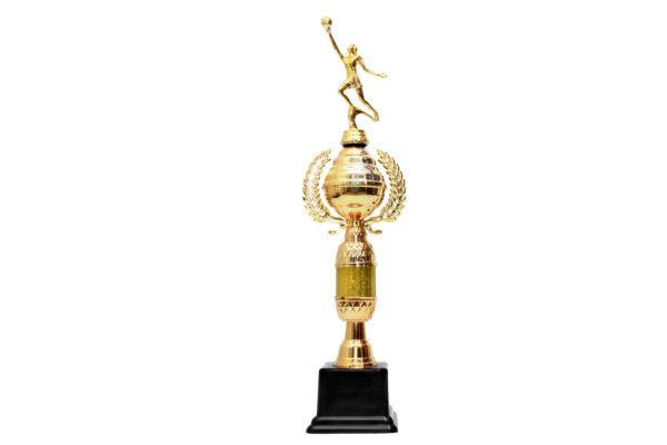 TROFEO NACIONAL DORADO MODELO 17
