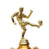 TROFEO NACIONAL DORADO MODELO 19
