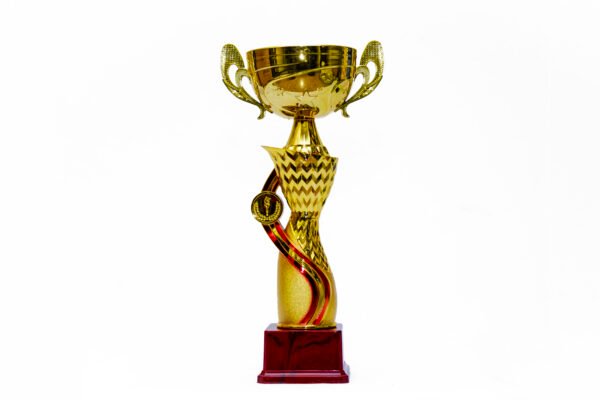 TROFEO DORADO IMPORTADO MEJOR JUGADOR MODELO 20